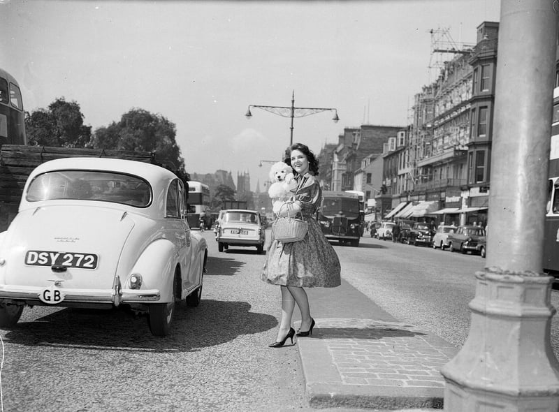 Miss Souness of Sighthill Terrace crosses Princes Street with her pet poodle during the 1960 Edinburgh heatwave.
