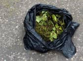 Councillors have backed plans for the council to support community composting.