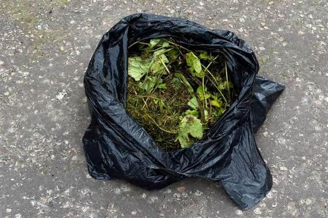 Councillors have backed plans for the council to support community composting.