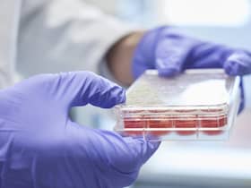 research into heart and circulatory diseases