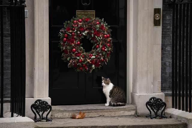 Larry the Cat, Britain's Chief Mouser to the Cabinet Office, stands by a Christmas wreath hanging on the door of the official residence of British Prime Minister Boris Johnson 10 Downing Street, in London. Picture: AP Photo/Matt Dunham