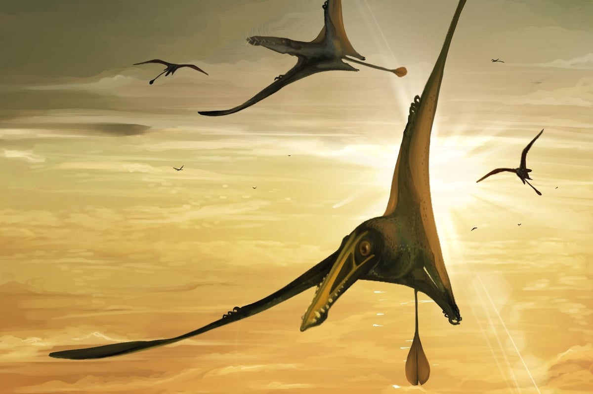 Pteranodon was a giant flying reptile which lived during