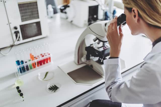 How do we ensure that in areas such as life sciences Scotland – and the rest of the UK – remain at the front of the queue for investment? (Picture: stock.adobe.com)