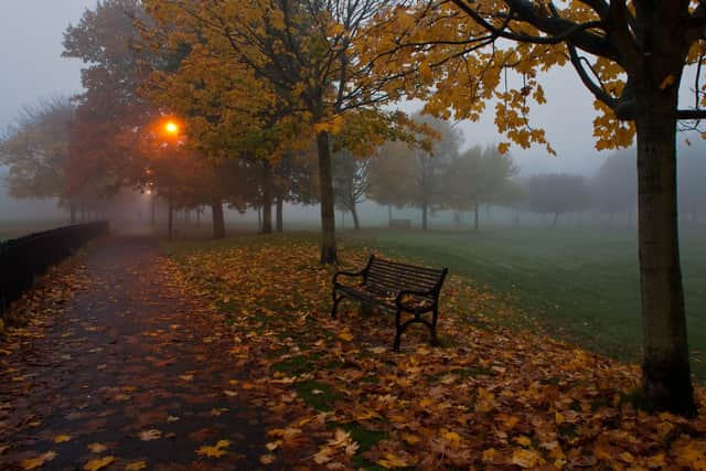 When do the clocks go back 2021? Date and time clocks change in October - and reason British Summer Time ends (Image credit: Getty Images/Canva Pro)