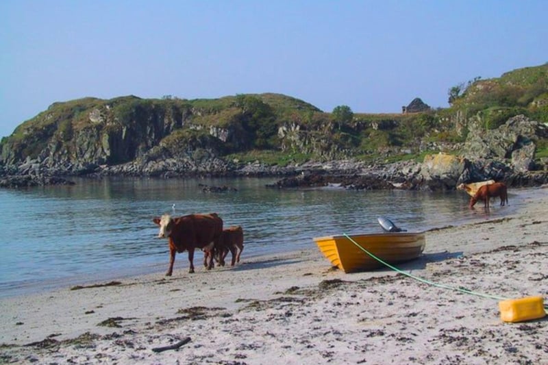 Situated southeast of Ross of Mull, and southwest of Loch Assapol, Port Uisken beach boasts pretty white sands and a location that is easily accessible by car. If you’re travelling alone and worried about being lonely, then worry no more. You’ll often find the local population of Highland cows joining you on many beaches across the Isle of Mull.