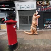 Pamela Livingtone goes out for a walk in her T-Rex costume.