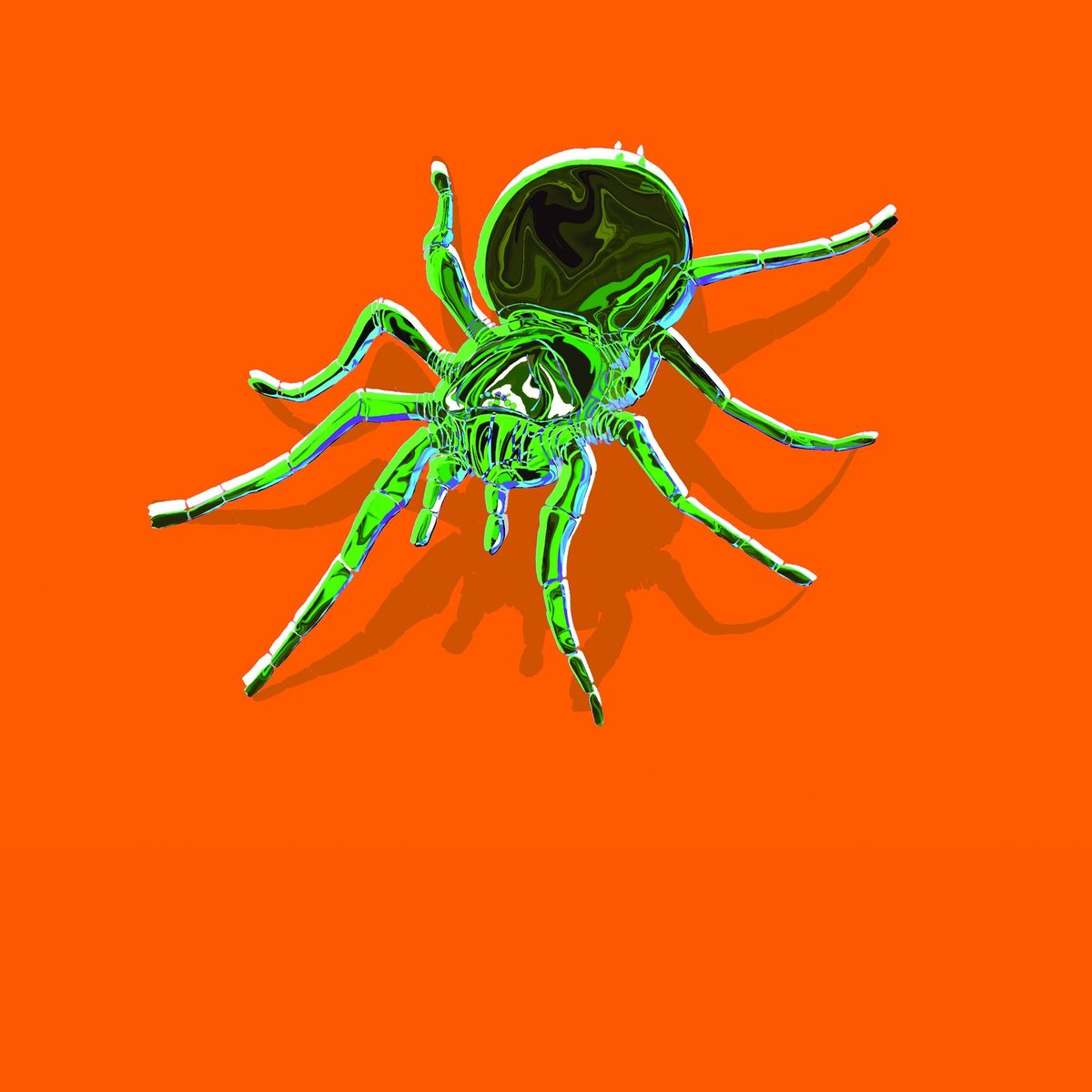 spiders-not-only-cause-no-harm-but-they-catch-creepy-crawlies-that