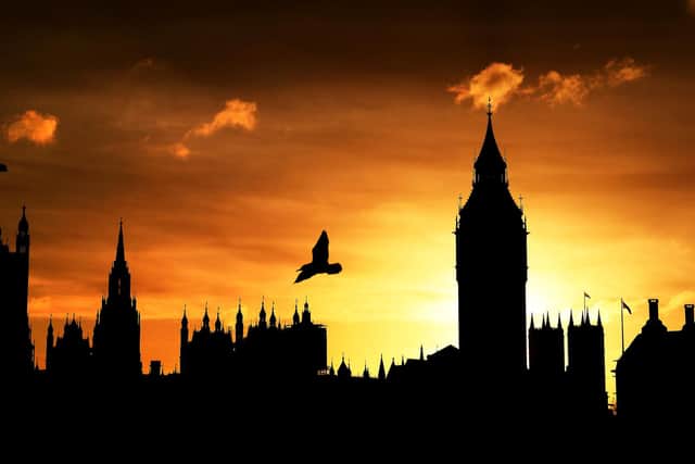 MPs and staff have warned of a "predatory culture" in Westminster.