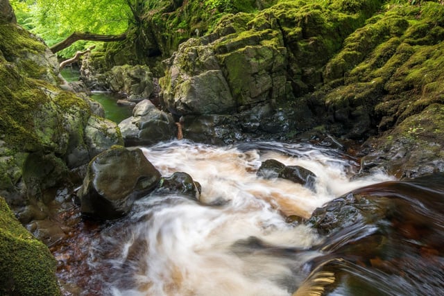 Sitting just outside Glasgow, peaceful Clyde Muirshiel Regional Park covers over 100 acres of mixed woodland and conifer forest, criss-crossed with paths. Look out for ospreys, hen harriers, roe deer, tawny owls, foxes and the occasional otter.
