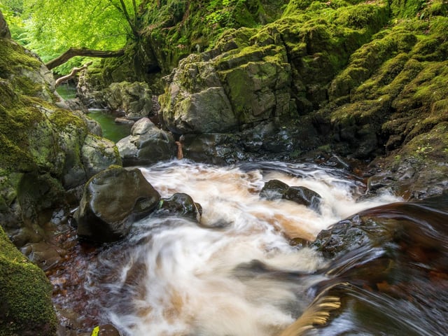 Sitting just outside Glasgow, peaceful Clyde Muirshiel Regional Park covers over 100 acres of mixed woodland and conifer forest, criss-crossed with paths. Look out for ospreys, hen harriers, roe deer, tawny owls, foxes and the occasional otter.