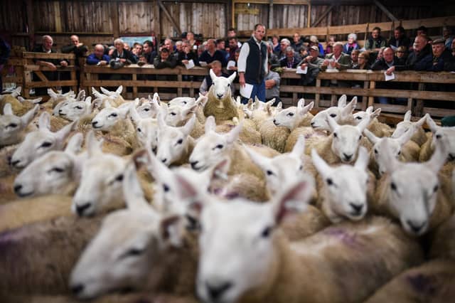 Tha prìsean math air a bhith aig na fèilltean-reic, a fàgail tuathanaich is croitearan air an dòigh, ach tha draghan fhathast ann mu na tha air fàire (Jeff J Mitchell/Getty Images)