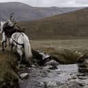 Deer managers say estates and small enterprises that rely on stalking could be adversely affected