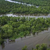 Tens of thousands of metric tons of nitrate and phosphorus flow down the Atchafalaya river (pictured) and the Mississippi into the Gulf of Mexico where a marine "dead zone" scars the waters. PIC: Getty.