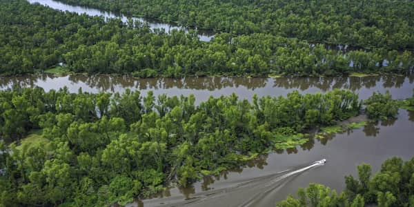 Tens of thousands of metric tons of nitrate and phosphorus flow down the Atchafalaya river (pictured) and the Mississippi into the Gulf of Mexico where a marine "dead zone" scars the waters. PIC: Getty.