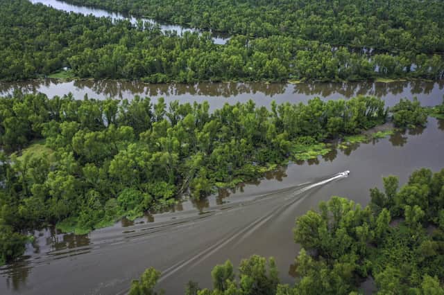 Tens of thousands of metric tons of nitrate and phosphorus flow down the Atchafalaya river (pictured) and the Mississippi into the Gulf of Mexico where a marine "dead zone" scars the waters. PIC: Getty.