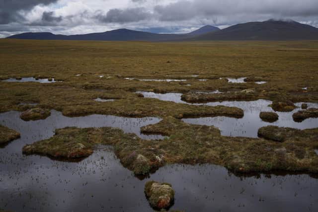 The Flow Country is a vast expanse of blanket bog in the North of Scotland (pic: Jeff J Mitchell)