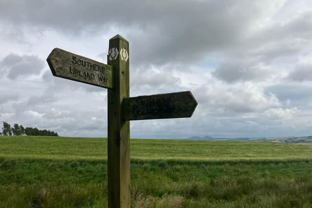 A waymarker on The Southern Upland Way. Pic: J Christie