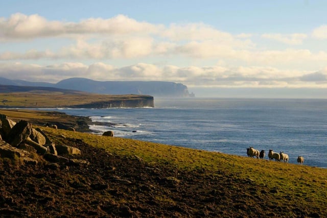 Historical records indicate that despite the local Gaels still considering the Scottish isles their own, they ceded dominion of the Hebrides to the King of Norway in a treaty that saw regions like Orkney and Shetland become areas of ‘safe reception’ for the Norse people who would be greeted like kin there.