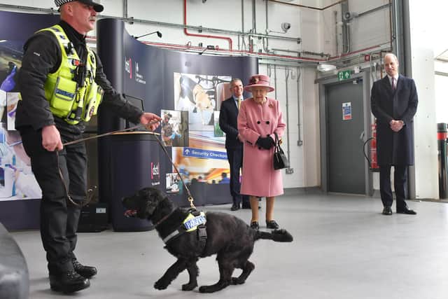 Queen Elizabeth II and the Duke of Cambridge (right) view a demonstration of a Forensic Explosives Investigation with explosives detection dog named 'Max' during a visit to the Energetics Analysis Centre of the Defence Science and Technology Laboratory (DSTL) at Porton Down, Wiltshire.