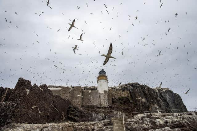 Sporting treacherous jagged edges, precariously placed cliffs, ancient chapel ruins, a lighthouse, and a castle-turned-prison, this volcanic plug is a Site Of Special Scientific Interest (Photo: Lisa Ferguson).