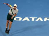Andy Murray is in the final of the Qatar Open. (Photo by Mohamed Farag/Getty Images)