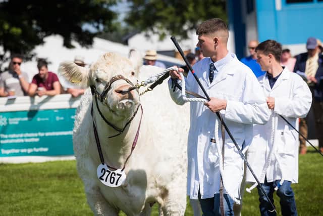 There were over 50,000 people in attendance at last year’s Royal Highland Show.