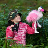 Robyn Devlin, seven, gets involved in the Big Garden Birdwatch project (Picture: John Devlin)