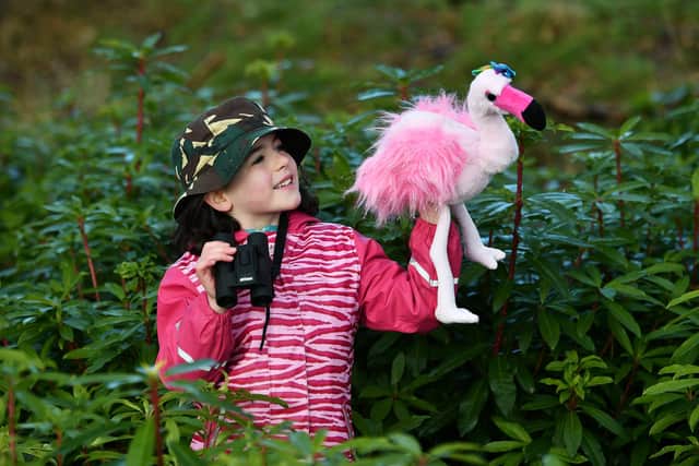 Robyn Devlin, seven, gets involved in the Big Garden Birdwatch project (Picture: John Devlin)