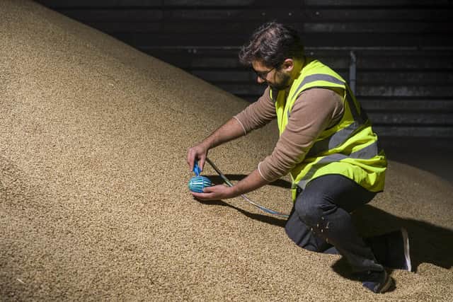 A unique burrowing robot which ‘swims’ through grain bulks to ensure crops are stored more efficiently has been launched by agritech developer Crover, a new tenant of the world-leading centre for robotics and artificial intelligence the National Robotarium (National Robotarium)