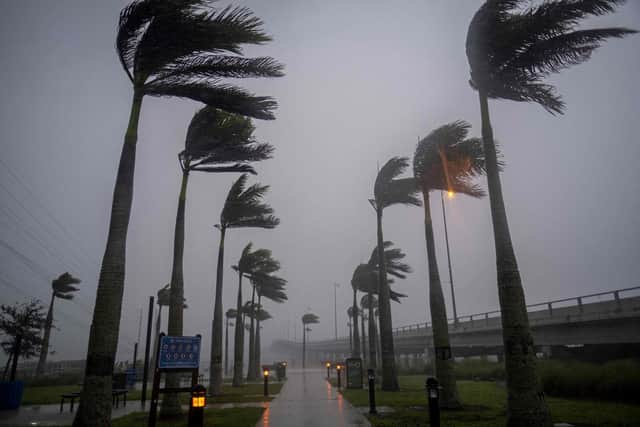 Wind blows palm trees ahead of Hurricane Ian in Charlotte Harbor, Florida, on September 28, 2022. - Ian intensified to just shy of catastrophic Category 5 strength Wednesday as its heavy winds began pummelling Florida, with forecasters warning of life-threatening storm surges after leaving millions without power in Cuba.