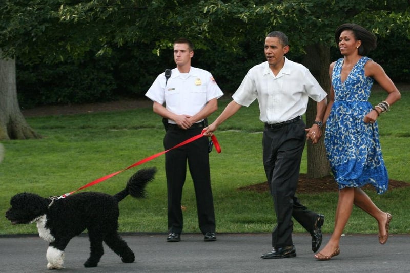 With presidential security there would certainly be no danger of dognapping at Barack and Michelle Obama's house.