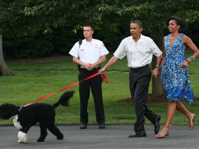 With presidential security there would certainly be no danger of dognapping at Barack and Michelle Obama's house.