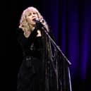 Stevie Nicks cancelled her show just hours before going on stage (Pic: Jamie McCarthy/Getty Images for ABA)