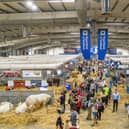 The report, commissioned by the Royal Highland and Agricultural Society of Scotland (RHASS) found that the Royal Highland Show contributes £39.5 million annually to Edinburgh’s economy, with the event attracting around 200,000 visitors across four days each year.