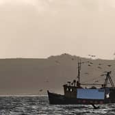 Many Scottish seafood businesses have faced administrative issues and red tape since the UK left the EU. Picture: John Devlin
