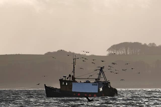 Many Scottish seafood businesses have faced administrative issues and red tape since the UK left the EU. Picture: John Devlin