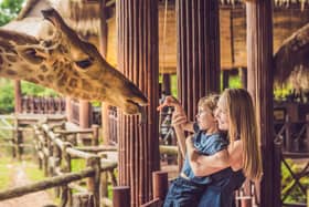 As lockdown restrictions are being eased across Scotland, people are enjoying being able to meet with friends and family outdoors (Photo: Shutterstock)