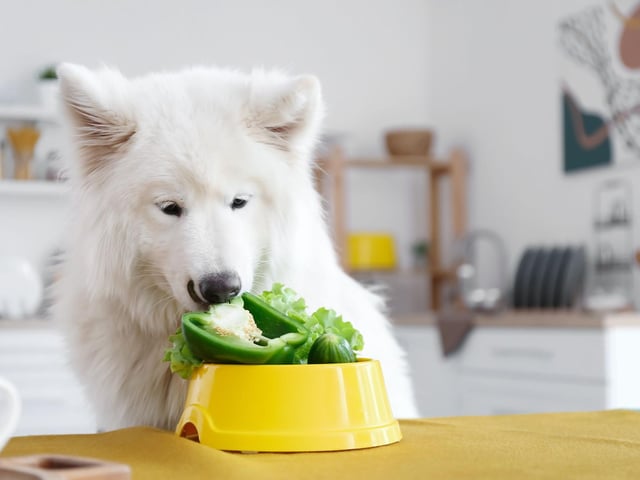 Vegetables such as carrots, peas, green beans and parsnips are nutritious and therefore a safe option  - but again avoid any cooked with salt.