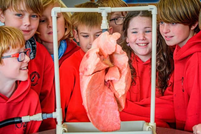 More than three quarters of 5,000 Highland pupils said their Newton Room experience has made them more aware of careers in STEM. Picture Credit Angus Mackay/HIE