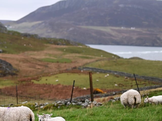 Another island region to make the list - residents of Shetland can expect to wait an average of eleven minutes and 13 seconds for an ambulance to respond to a critical emergency.