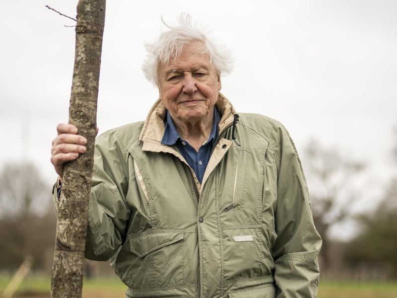 “Scotland is a wonderfully fascinating place for wildlife and nature. It has, in my opinion, some of the most marvellous landscapes and wildlife spectacles you will find anywhere.”