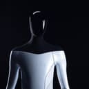 Tesla Bot: What is the humanoid Tesla robot announced at Elon Musk's company AI Day? (Image courtesy of Tesla)