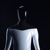 Tesla Bot: What is the humanoid Tesla robot announced at Elon Musk's company AI Day? (Image courtesy of Tesla)