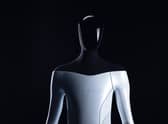 Tesla Bot: What is the humanoid Tesla robot announced at Elon Musk's company AI Day? (Image courtesy of Tesla)