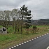 The interactive learning and discussion opportunities are being offered to those who live or work in the Cairngorms National Park