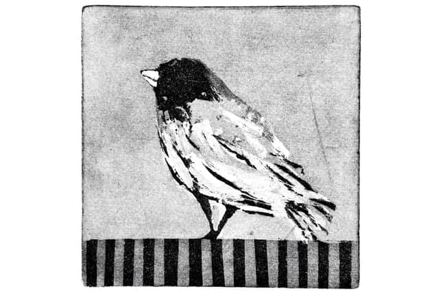 Bird image by Mousa AlNana