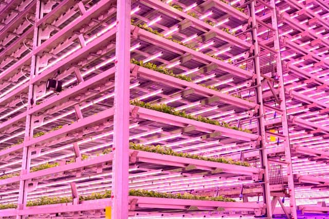 A vertical farm at SRUC