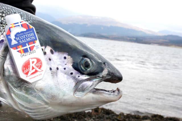 Sales of salmon, Scotland's largest food export, fell by 23 per cent last year as the pandemic took its toll.