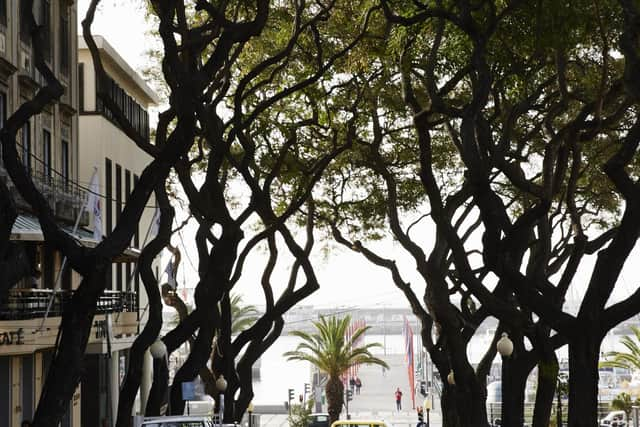 Madeira is full of cobbled streets, small squares and little restaurants packed with locals. Pic: P&O