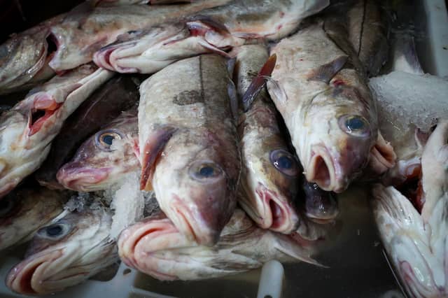 Scottish fishing boats will have access to "colossal quantities" Boris Johnson has said.